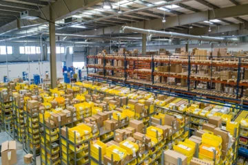 Warehouse staff consolidating cartons from several pet product suppliers onto one pallet before export