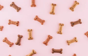 Bone-shaped pet treats arranged in a flat lay representing curated pet product assortments