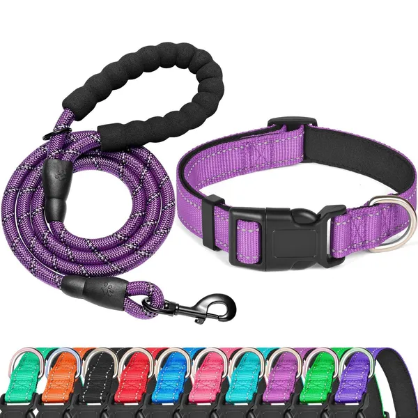 8-Strand Braided Rope Leash Set, purple - Petlland private label sourcing
