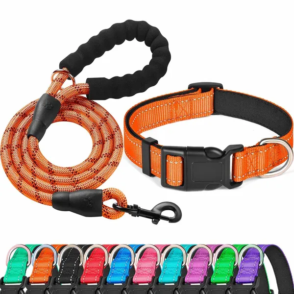 8-Strand Braided Rope Leash Set, orange - Petlland private label sourcing