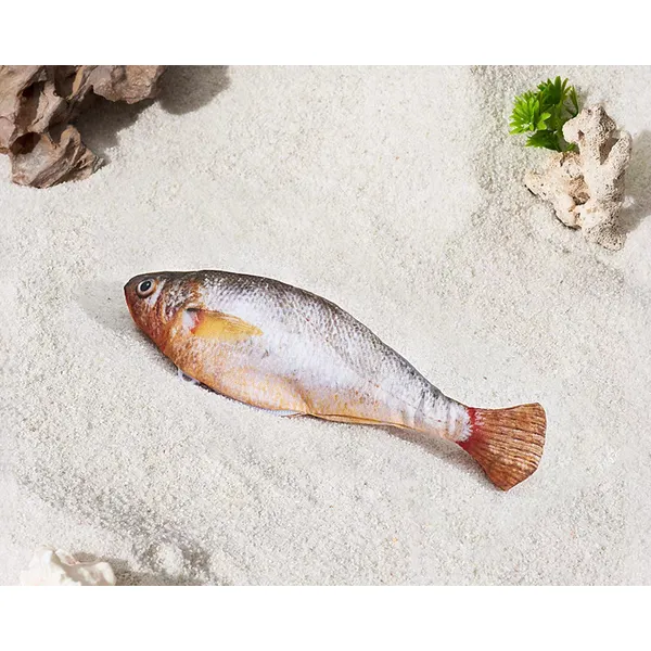 Catnip Simulation Fish Toy, yellow croaker - Petlland private label sourcing