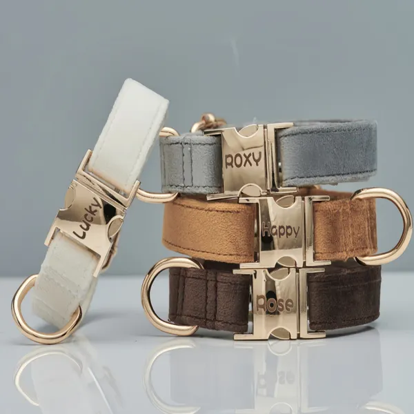 Velvet-faced webbing Collar + Engraved Tag Set - Petlland private label sourcing