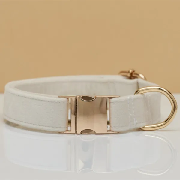 Collar + Engraved Tag Set, ivory - Petlland private label sourcing