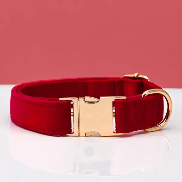 Collar + Engraved Tag Set, red - Petlland private label sourcing