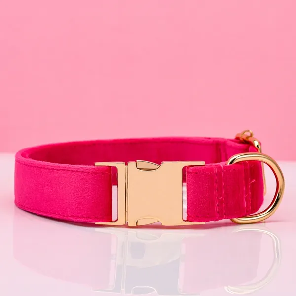 Collar + Engraved Tag Set, fuchsia - Petlland private label sourcing