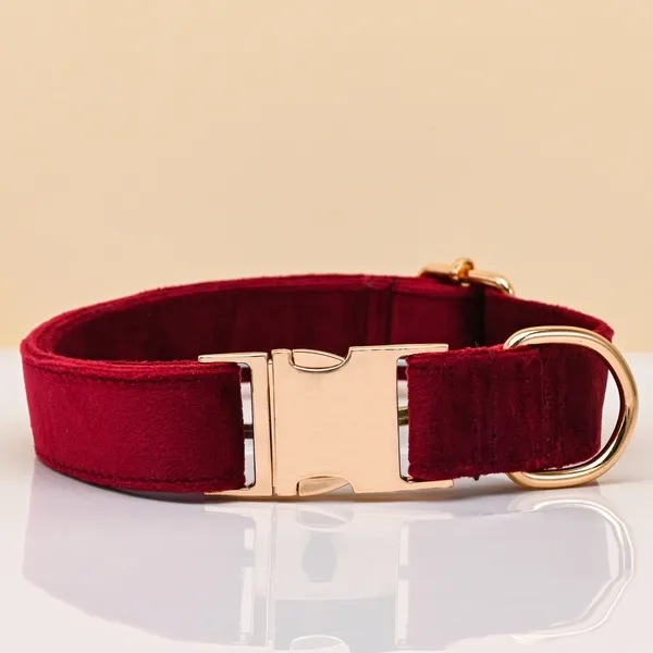 Collar + Engraved Tag Set, wine - Petlland private label sourcing
