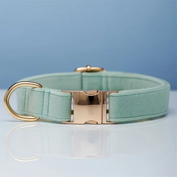 Collar + Engraved Tag Set, mint - Petlland private label sourcing