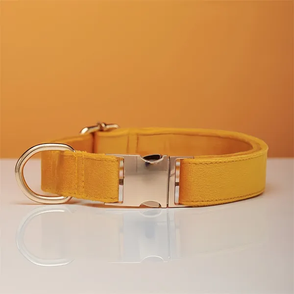 Collar + Engraved Tag Set, mustard - Petlland private label sourcing