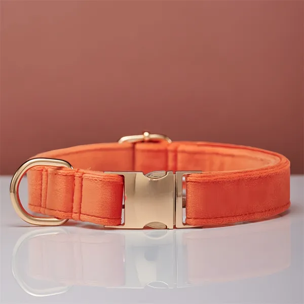 Collar + Engraved Tag Set, coral - Petlland private label sourcing
