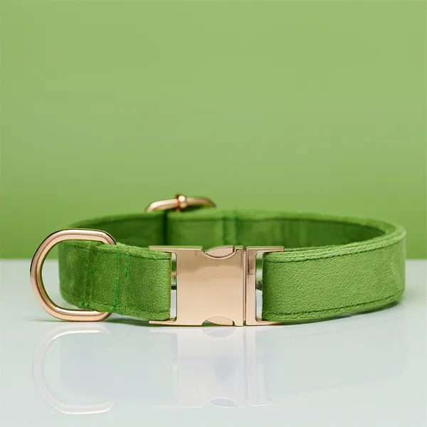 Collar + Engraved Tag Set, green - Petlland private label sourcing