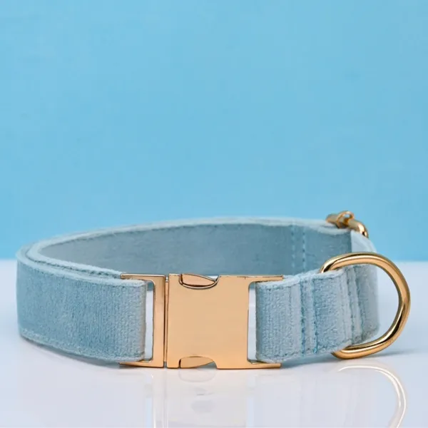 Collar + Engraved Tag Set, sky blue - Petlland private label sourcing