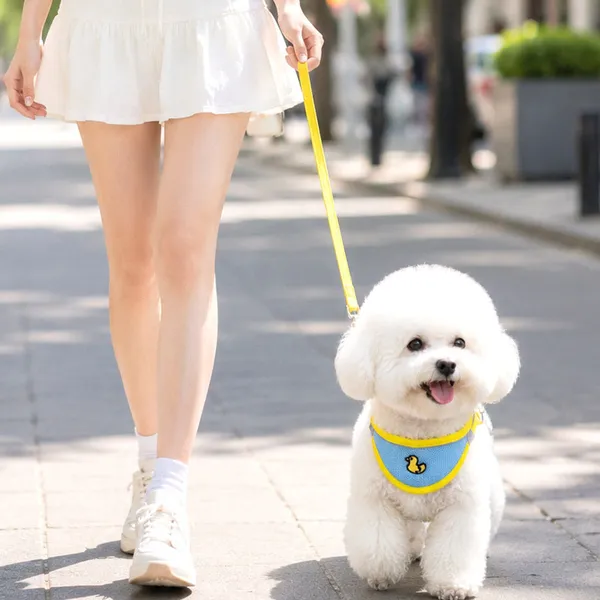 Harness + Leash + Bandana Set, in use - Petlland private label sourcing