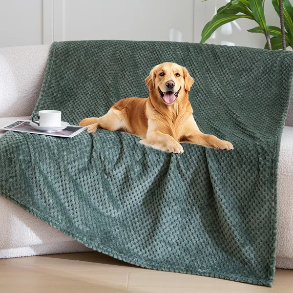 Jacquard Flannel Towel Blanket, green - Petlland private label sourcing