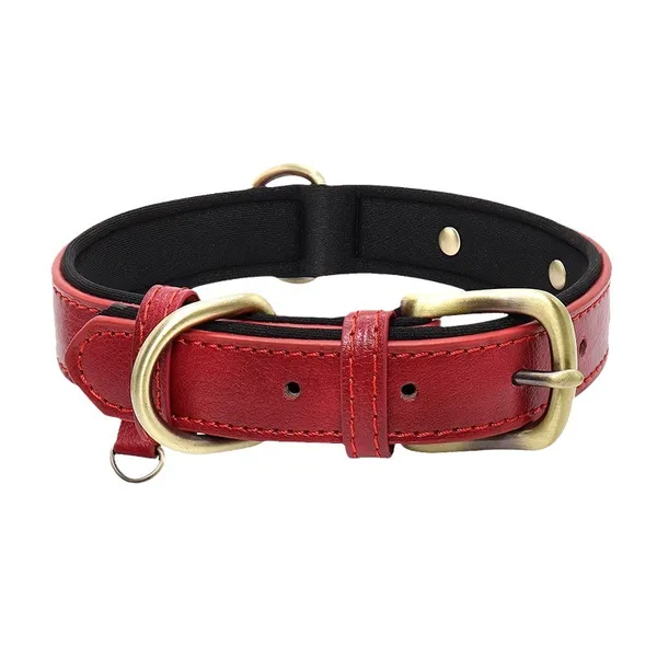 Genuine leather Leather Collar with Engraved Plate - Petlland private label sourcing
