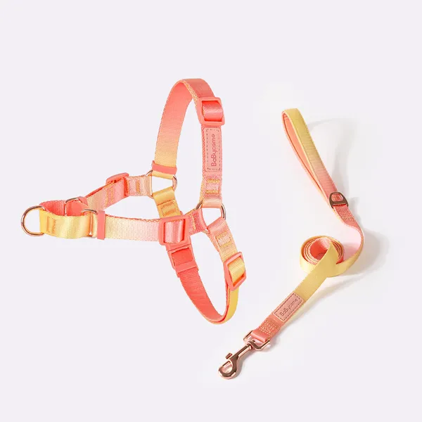 Lightweight Step-In Harness, with matching leash - Petlland private label sourcing