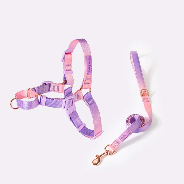 Lightweight Step-In Harness, with matching leash - Petlland private label sourcing