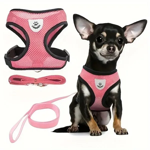 Mesh Vest Reflective Harness, with matching leash - Petlland private label sourcing