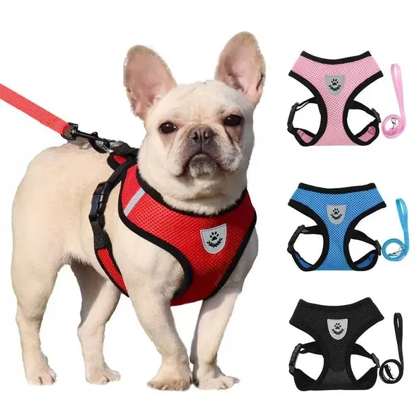 Mesh Vest Reflective Harness, in use - Petlland private label sourcing