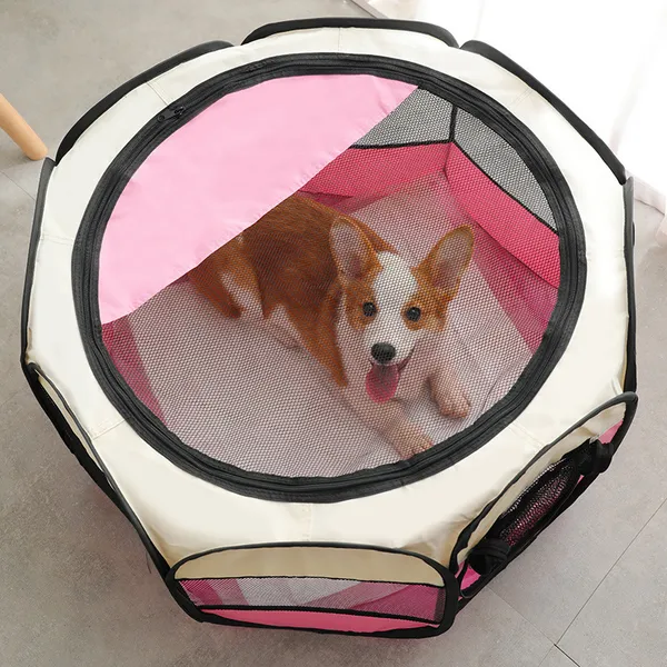 Portable Pop-Up Playpen, with a corgi - Petlland private label sourcing
