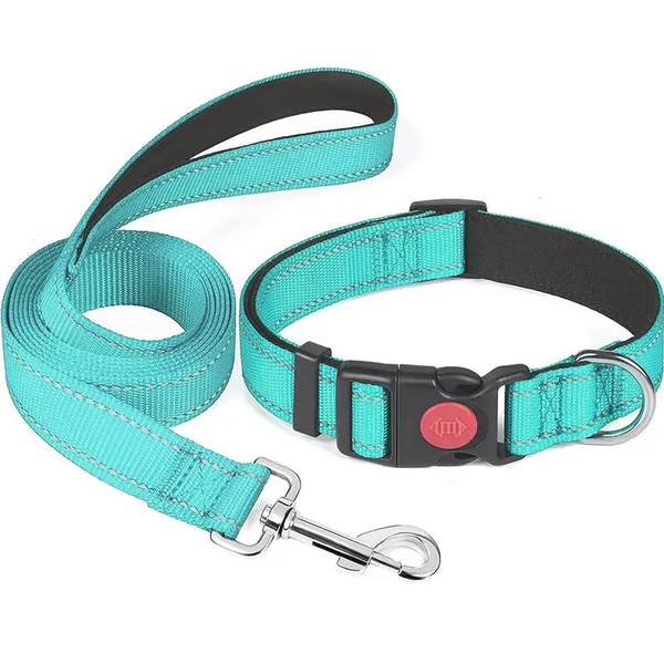 Reflective Collar & Leash Set, mint - Petlland private label sourcing