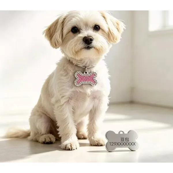 Rhinestone Bone-Shape Tag, worn by a dog - Petlland private label sourcing