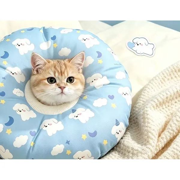 Soft Elizabethan Recovery Collar, worn by a cat - Petlland private label sourcing