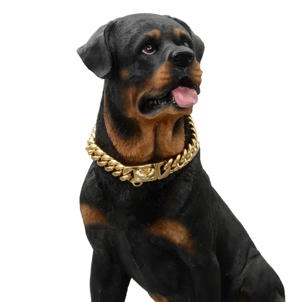 Stainless Steel Cuban Link Collar, worn by a dog - Petlland private label sourcing
