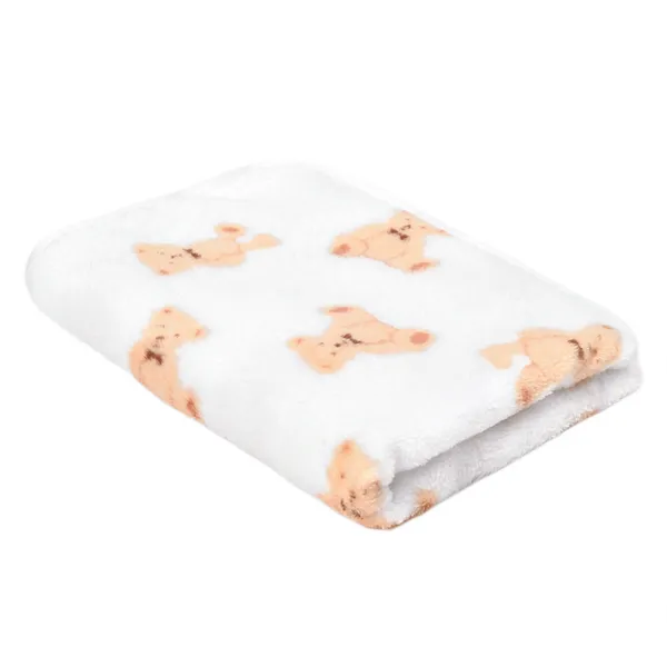 Thick Coral Fleece Blanket, main product view - Petlland private label sourcing