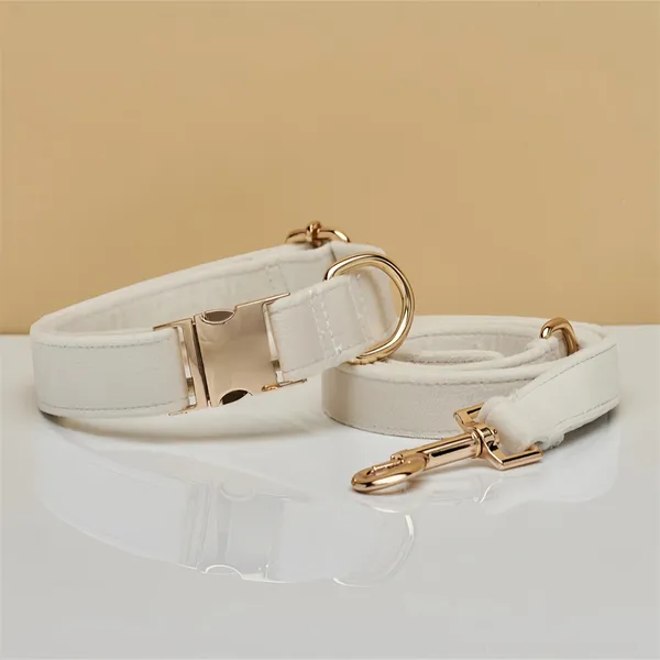 Velvet Laser-Engraved Collar, main product view - Petlland private label sourcing