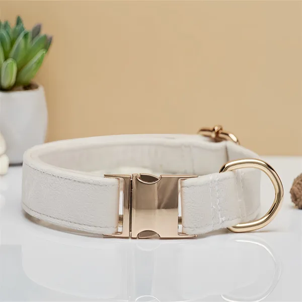 Velvet Laser-Engraved Collar, colourway - Petlland private label sourcing
