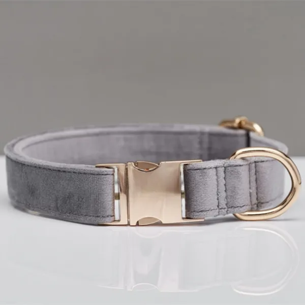 Velvet Laser-Engraved Collar, colourway - Petlland private label sourcing