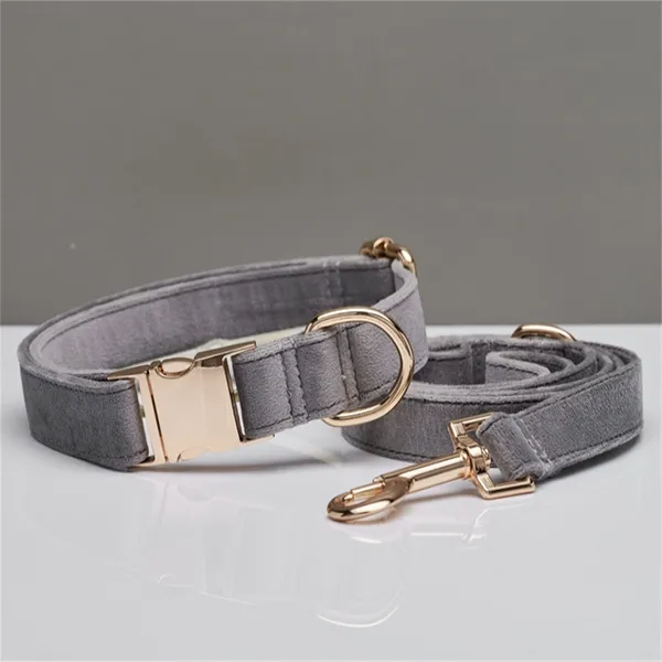Velvet Laser-Engraved Collar, with matching leash - Petlland private label sourcing